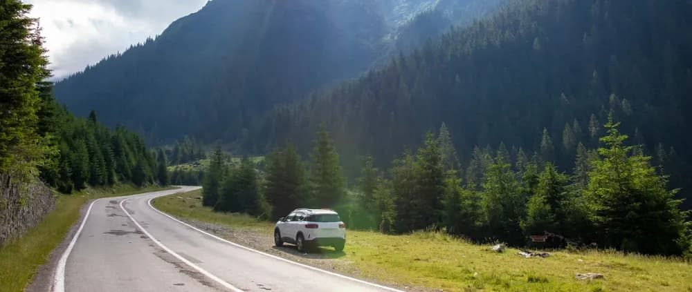 Аренда авто в Алматы без водителя — полная свобода маршрута с Syndicate Auto