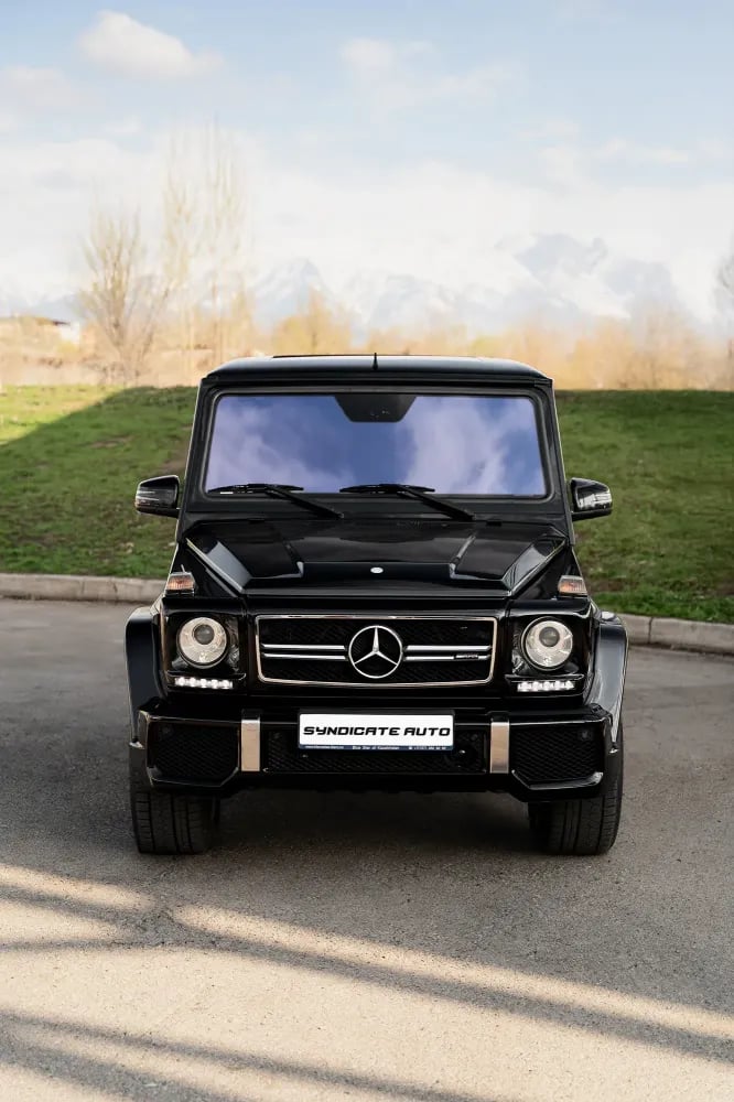 7M303611.jpg.webp