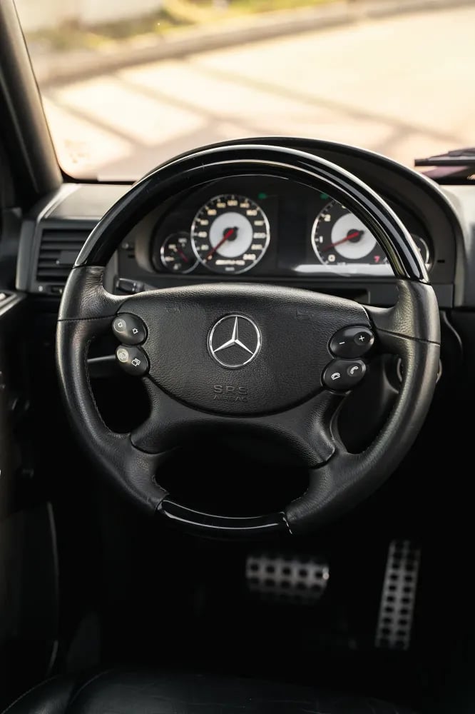7M303633.jpg.webp