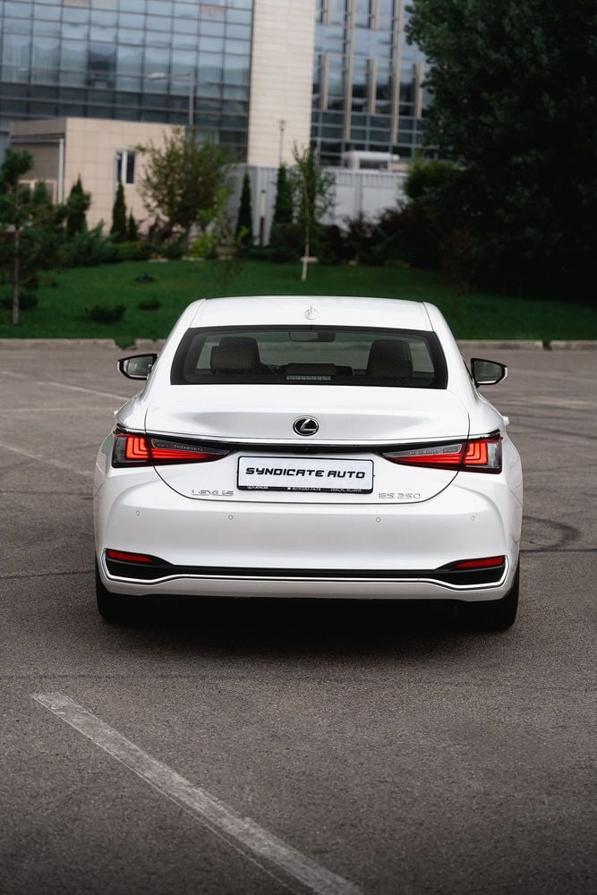 7M304867.jpg