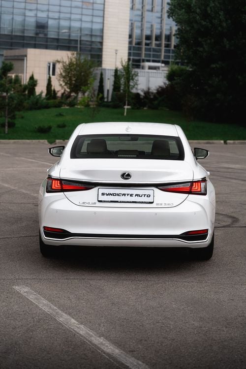 7M304867.jpg